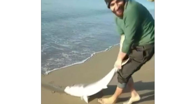 Oltası kopmasın diye 7 kiloluk balığı sürüyerek getirdi