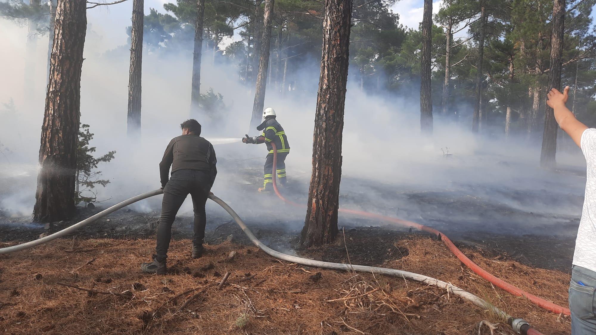 Adana’da orman yangını: Şüpheli yakalandı