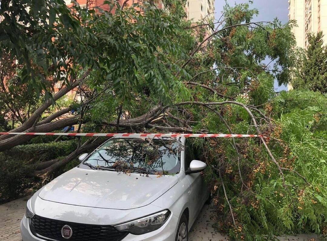 İzmir’de fırtına etkili oldu