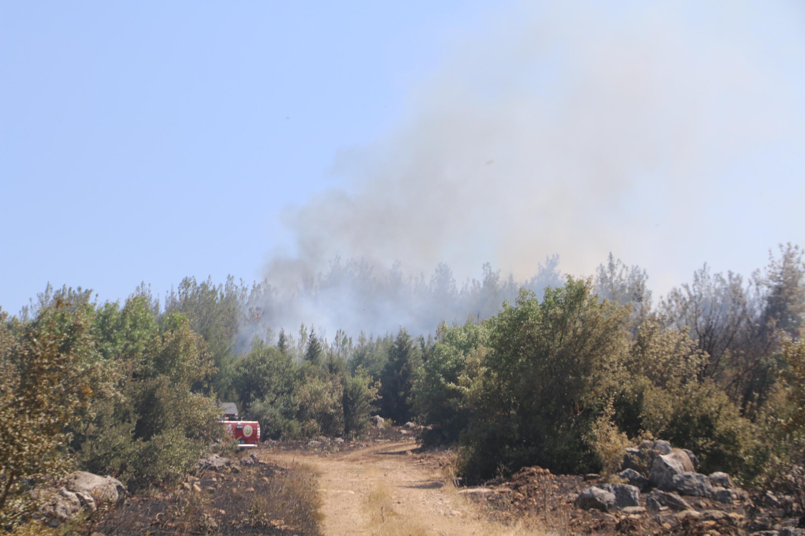 İzmir’de 5 hektarlık ormanlık alan yandı