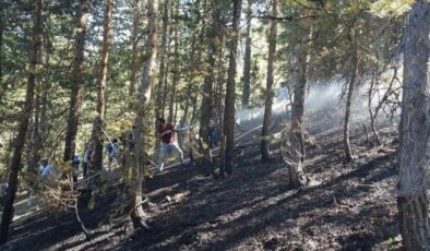 Erzincan’da orman yangını 2 saatte söndürüldü