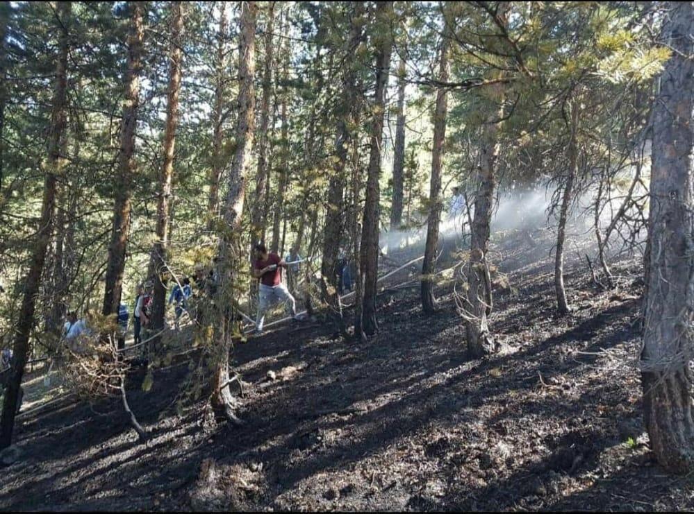 Erzincan’da orman yangını 2 saatte söndürüldü