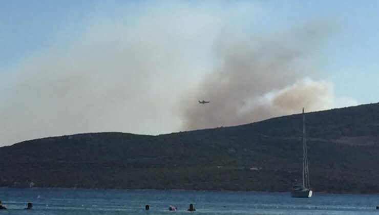 İzmir’in Menderes ve Urla ilçelerinde orman ve makilik alanlarda yangın çıktı