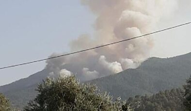 Karacasu’da orman yangını