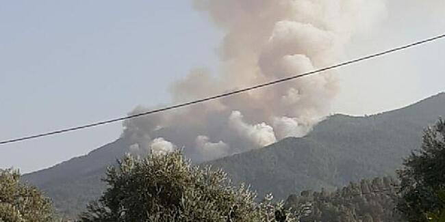 Karacasu’da orman yangını