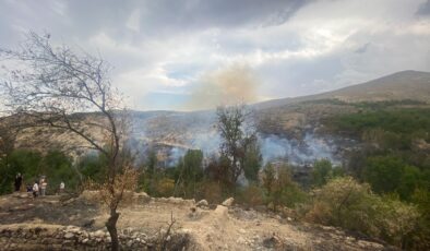 Malatya’da, ormanlık alanda çıkan yangın söndürüldü