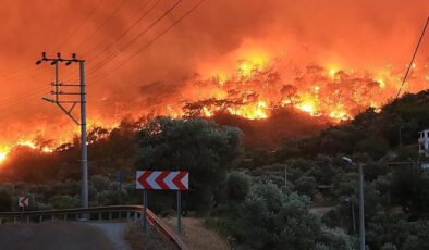 Son dakika haberi: Afet bölgesinde son durum! 137 yangın kontrol altına alındı