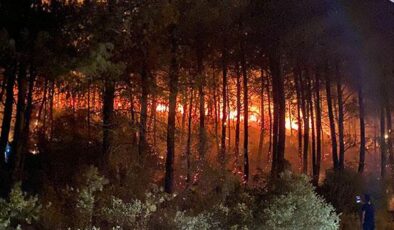 Son dakika… Muğla’nın Fethiye ilçesinde orman yangını
