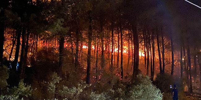 Son dakika… Muğla’nın Fethiye ilçesinde orman yangını