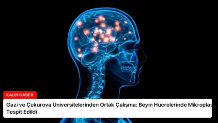 Gazi ve Çukurova Üniversitelerinden Ortak Çalışma: Beyin Hücrelerinde Mikroplastik Tespit Edildi