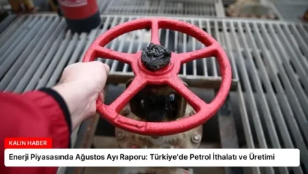 Enerji Piyasasında Ağustos Ayı Raporu: Türkiye’de Petrol İthalatı ve Üretimi