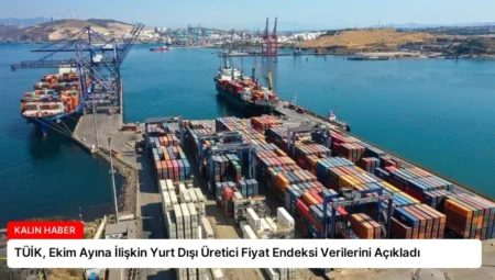 TÜİK, Ekim Ayına İlişkin Yurt Dışı Üretici Fiyat Endeksi Verilerini Açıkladı